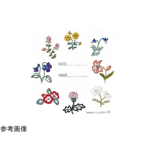 フランスししゅうキット/基本縫ししゅうス