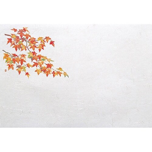 尺5雲竜和紙懐石まっと 四季 紅葉(10