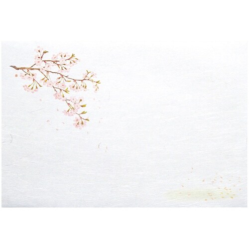尺3雲竜和紙懐石まっと 枯淡 桜(3月ー