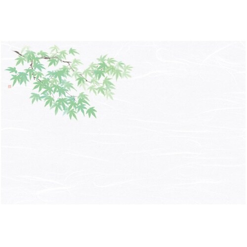 尺3雲竜和紙懐石まっと 枯淡 青もみじ(