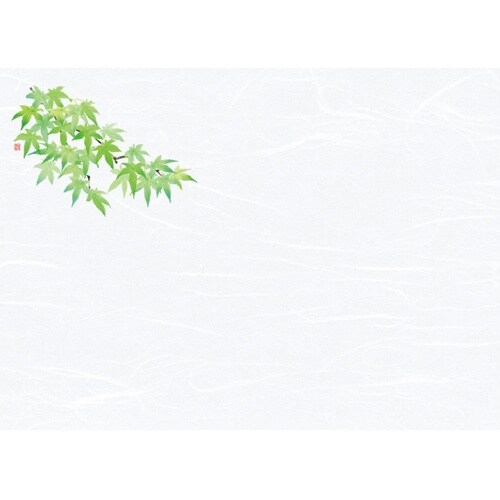 尺3雲竜和紙懐石まっと 花彩(はなさい)