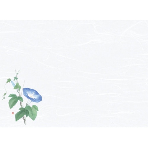 尺3雲竜和紙懐石まっと 花彩(はなさい)