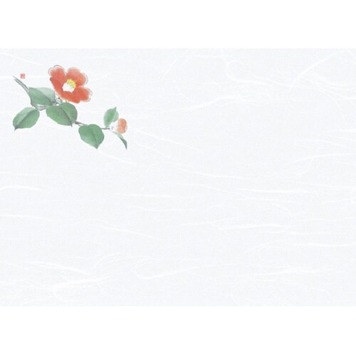 尺3雲竜和紙懐石まっと 花彩(はなさい)
