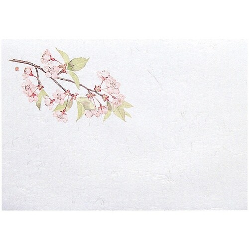 尺1お手元まっと 四季 桜(3月ー4月)