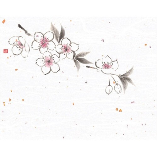 4x5寸花風情 桜(3月ー4月) (10