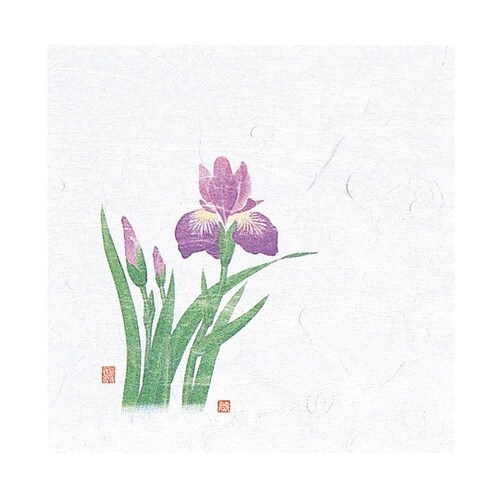 4寸OP懐石敷紙 菖蒲(4月ー5月) (