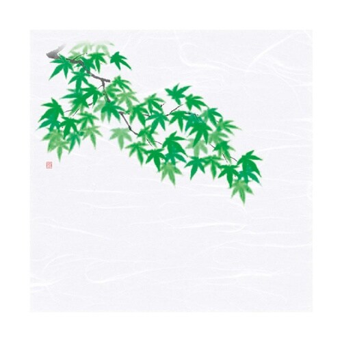 4寸OP懐石敷紙 青もみじ(4月ー8月)