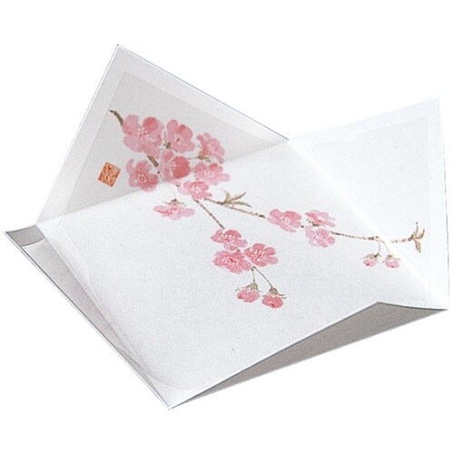 抗菌 四季の紙皿 さくら(3月ー4月)(