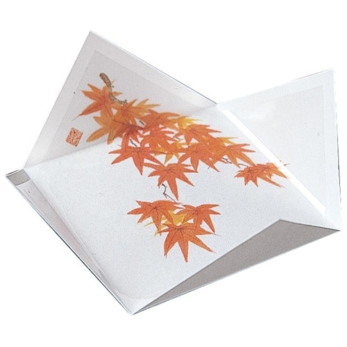 抗菌 四季の紙皿 もみじ(9月ー11月)