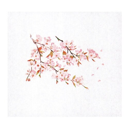 遠赤保鮮紙(大)桜(3月ー4月)(100