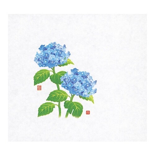 遠赤保鮮紙 (大) 紫陽花(6月ー7月)