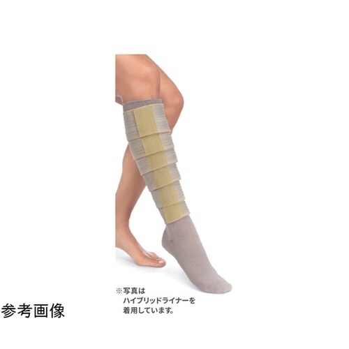 ファロクラシックレッグS 020−000
