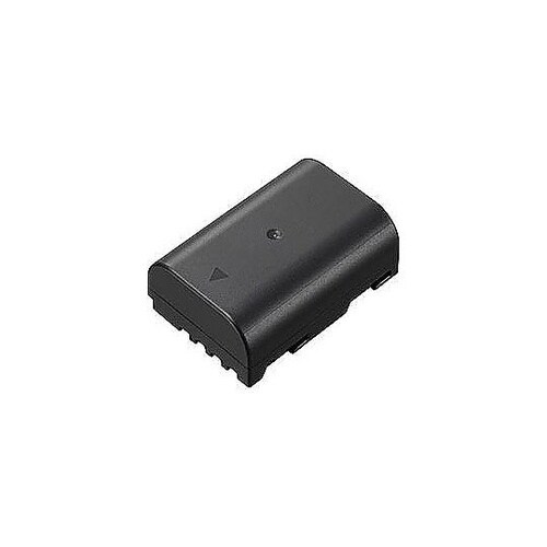 バッテリーパック DMW−BLF19 D