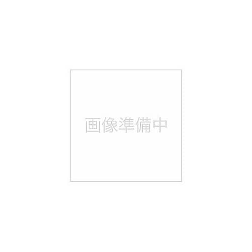 BGフィルター 2020−BG 2020