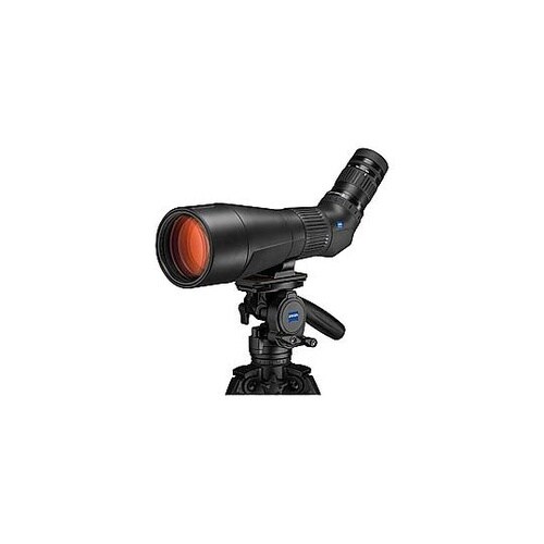 Conquest Gavia 85(30