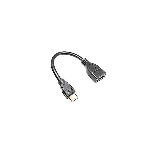 HDMI変換アダプタ [miniHDMI