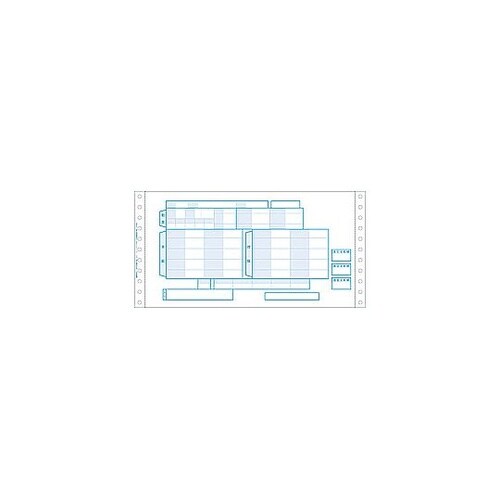 〔ドット〕給与明細書 2P 1000セッ