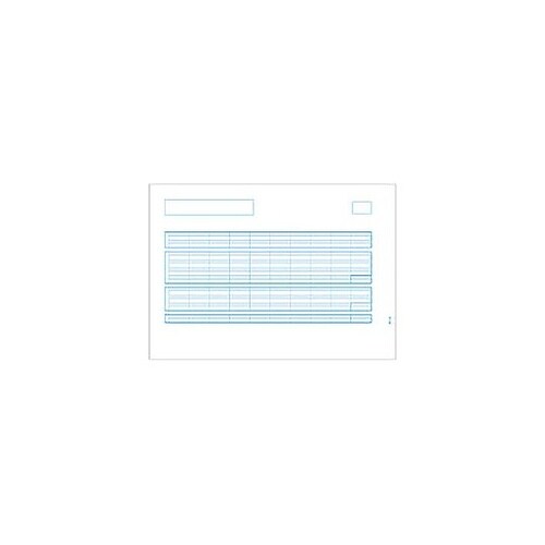 〔レーザー〕給与明細書C 500枚 PA