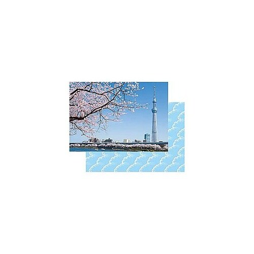 カバーアルバム高透明2Lサイズ 東京スカ