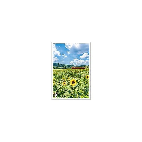 ポストカード PASPOL JPC−12