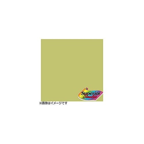 BPS−1800No.13 トロピカルグ