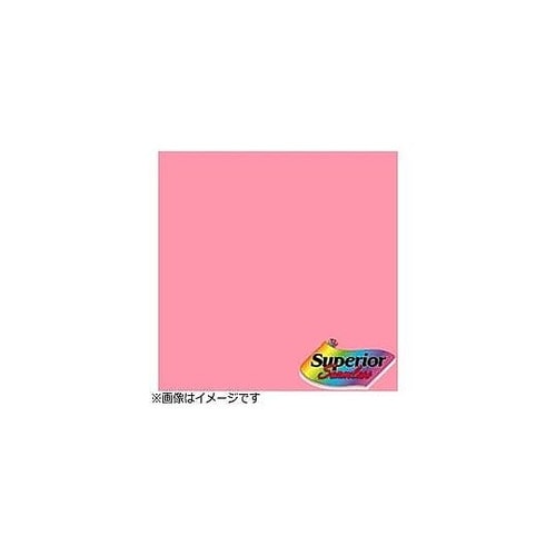 BPS−1800No.17 カーネーショ