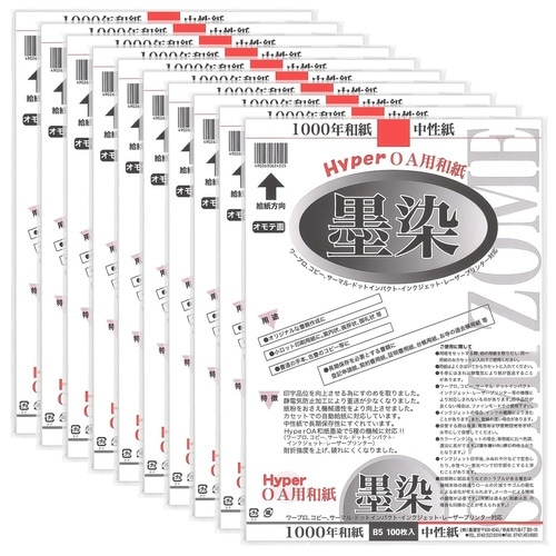 ハイパー和紙墨染B4 10袋入