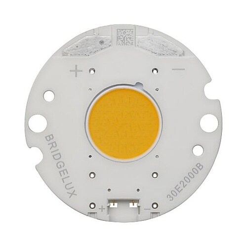 COB LED WARM WHITE 2
