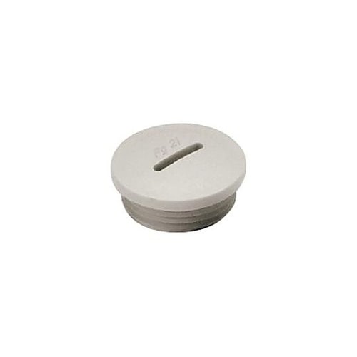 BLANKING PLUG M32 GF