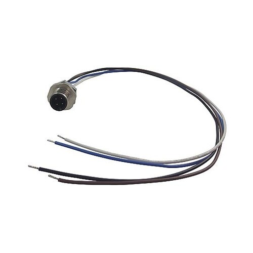 PLUG M12 4WAY 8R4E36