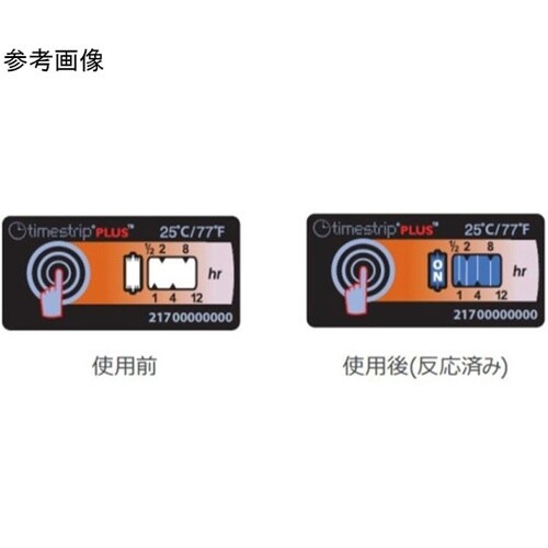 Timestrip PLUS25℃(10