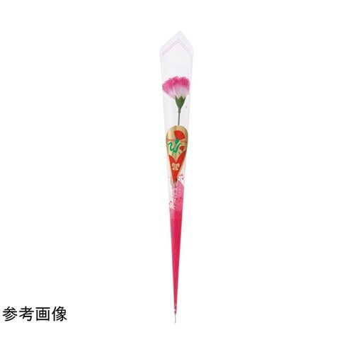 カーネーションラップ巻 ピンク L40c