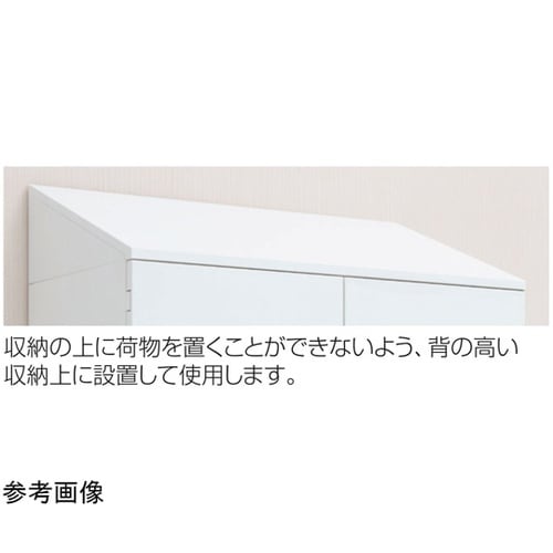 アソシアード トップキャップ900W ネ