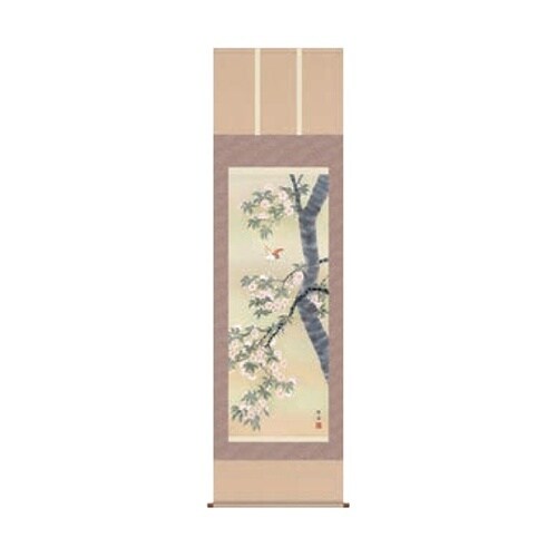 掛軸 桜花に小鳥 545×1900mm