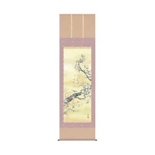 掛軸 桜花 545×1900mm 11−