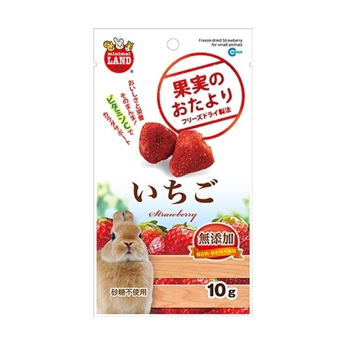 果実のおたより いちご 10g ML−8