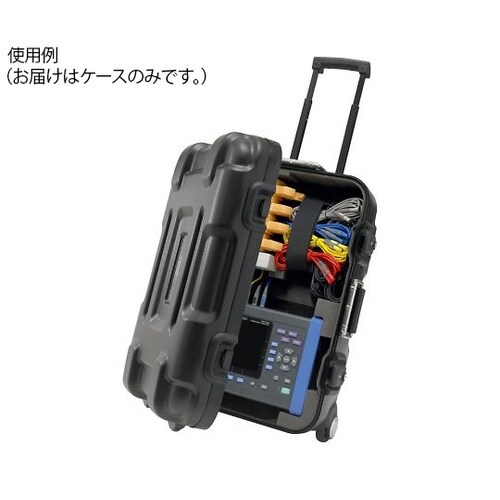 C1002 携帯用ケース
