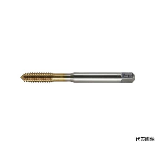 RVPG6M3X0.5P ロールタップ