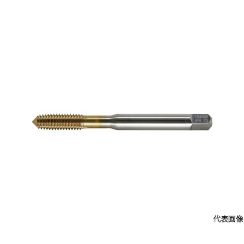 RVPG6M4X0.7B ロールタップ