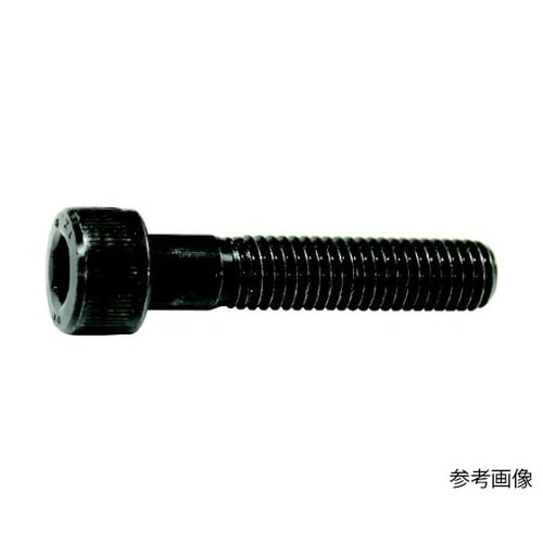 六角穴付ボルト半ねじ M10x95(30
