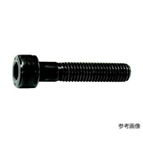 六角穴付ボルト半ねじ M20x85(12