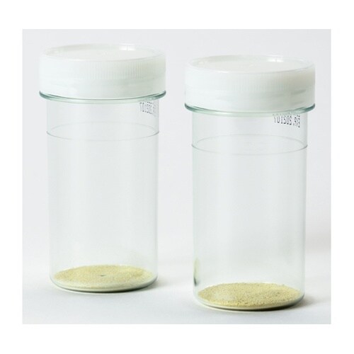 ECブルー 100 100mL×80本入
