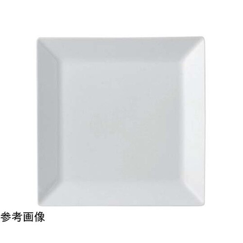スクエアーダンス 25cm角皿 2600