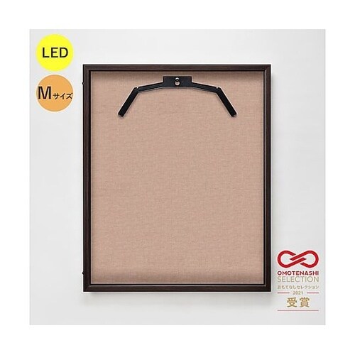 LEDユニフォームケース Mサイズ (フ
