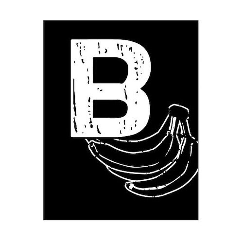 キャンバス Alphabet B F12