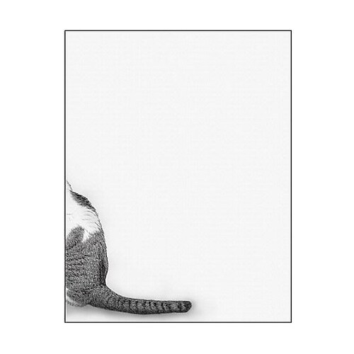 キャンバス Sketch 猫のしっぽ F