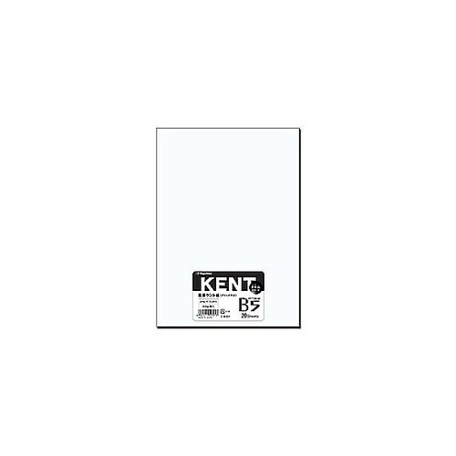 ナ−B301 〔各種プリンタ〕KENT