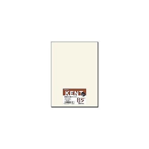 ナ−B401 〔各種プリンタ〕KENT