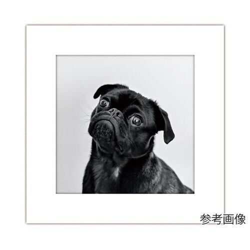 アートトワレ 5回分