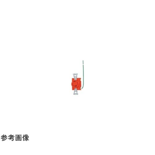 接地3P30A引掛埋込コンセント・R W